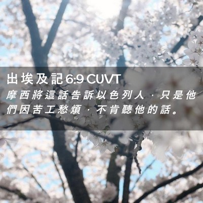 Picture 02 - 出 埃 及 記 6:9 CUVT - 摩 西 將 這 話 告 訴 以 色 列 人 ， - Bible Verse Picture