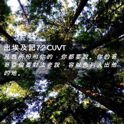 Picture 02 - 出 埃 及 記 7:2 CUVT - 凡 我 所 吩 咐 你 的 ， 你 都 要 說 - Bible Verse Picture