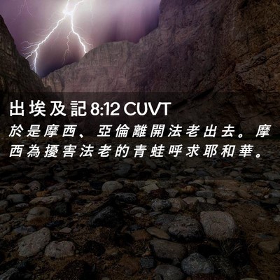 Picture 02 - 出 埃 及 記 8:12 CUVT - 於 是 摩 西 、 亞 倫 離 開 法 老 出 - Bible Verse Picture