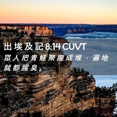 Picture 02 - 出 埃 及 記 8:14 CUVT - 眾 人 把 青 蛙 聚 攏 成 堆 ， 遍 地 - Bible Verse Picture