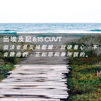 Picture 02 - 出 埃 及 記 8:15 CUVT - 但 法 老 見 災 禍 鬆 緩 ， 就 硬 著 - Bible Verse Picture