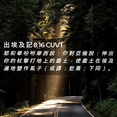 Picture 02 - 出 埃 及 記 8:16 CUVT - 耶 和 華 吩 咐 摩 西 說 ： 你 對 亞 - Bible Verse Picture