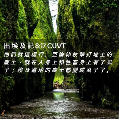 Picture 02 - 出 埃 及 記 8:17 CUVT - 他 們 就 這 樣 行 。 亞 倫 伸 杖 擊 - Bible Verse Picture