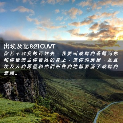 Picture 02 - 出 埃 及 記 8:21 CUVT - 你 若 不 容 我 的 百 姓 去 ， 我 要 - Bible Verse Picture