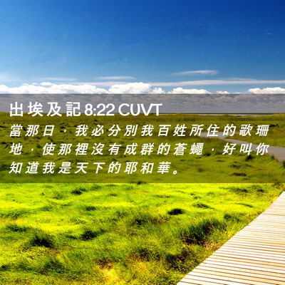 Picture 02 - 出 埃 及 記 8:22 CUVT - 當 那 日 ， 我 必 分 別 我 百 姓 所 - Bible Verse Picture