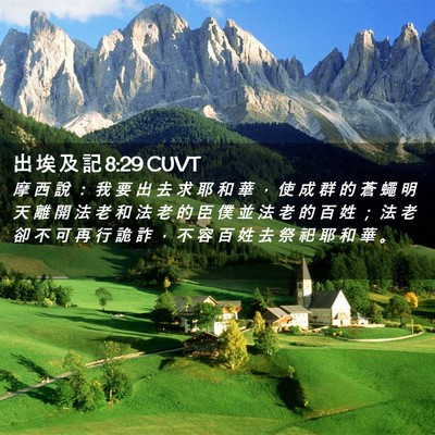 Picture 02 - 出 埃 及 記 8:29 CUVT - 摩 西 說 ： 我 要 出 去 求 耶 和 華 - Bible Verse Picture