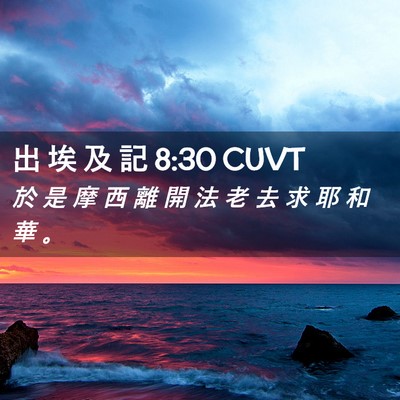 Picture 02 - 出 埃 及 記 8:30 CUVT - 於 是 摩 西 離 開 法 老 去 求 耶 和 - Bible Verse Picture