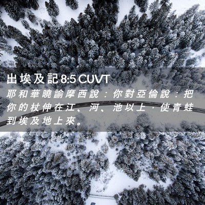 Picture 02 - 出 埃 及 記 8:5 CUVT - 耶 和 華 曉 諭 摩 西 說 ： 你 對 亞 - Bible Verse Picture