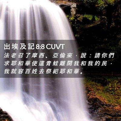 Picture 02 - 出 埃 及 記 8:8 CUVT - 法 老 召 了 摩 西 、 亞 倫 來 ， 說 - Bible Verse Picture