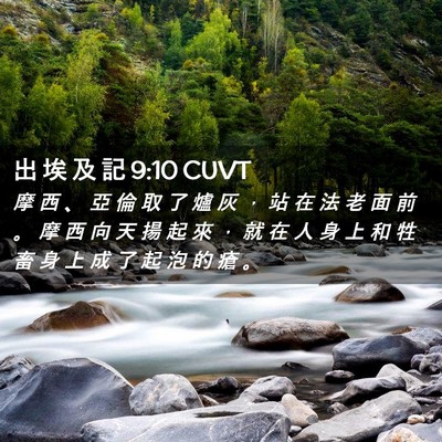 Picture 02 - 出 埃 及 記 9:10 CUVT - 摩 西 、 亞 倫 取 了 爐 灰 ， 站 在 - Bible Verse Picture
