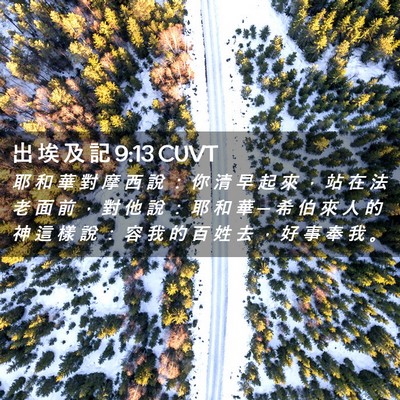 Picture 02 - 出 埃 及 記 9:13 CUVT - 耶 和 華 對 摩 西 說 ： 你 清 早 起 - Bible Verse Picture