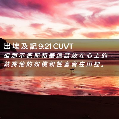 Picture 02 - 出 埃 及 記 9:21 CUVT - 但 那 不 把 耶 和 華 這 話 放 在 心 - Bible Verse Picture