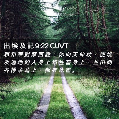 Picture 02 - 出 埃 及 記 9:22 CUVT - 耶 和 華 對 摩 西 說 ： 你 向 天 伸 - Bible Verse Picture