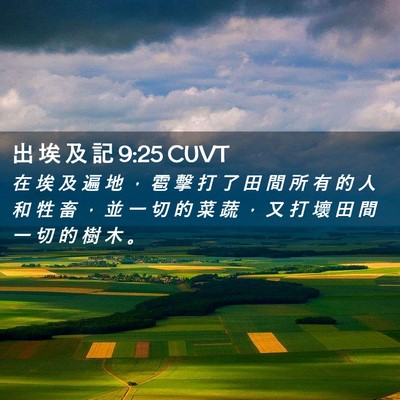 Picture 02 - 出 埃 及 記 9:25 CUVT - 在 埃 及 遍 地 ， 雹 擊 打 了 田 間 - Bible Verse Picture