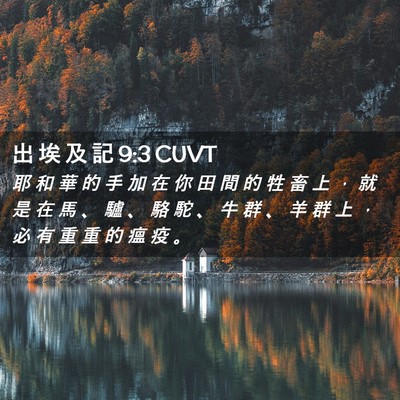 Picture 02 - 出 埃 及 記 9:3 CUVT - 耶 和 華 的 手 加 在 你 田 間 的 牲 - Bible Verse Picture
