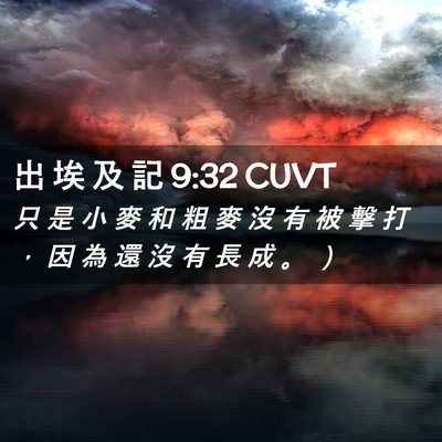 Picture 02 - 出 埃 及 記 9:32 CUVT - 只 是 小 麥 和 粗 麥 沒 有 被 擊 打 - Bible Verse Picture