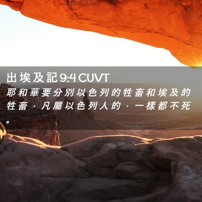 Picture 02 - 出 埃 及 記 9:4 CUVT - 耶 和 華 要 分 別 以 色 列 的 牲 畜 - Bible Verse Picture