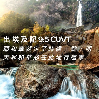 Picture 02 - 出 埃 及 記 9:5 CUVT - 耶 和 華 就 定 了 時 候 ， 說 ： 明 - Bible Verse Picture