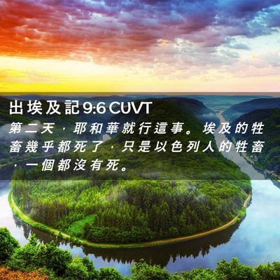 Picture 02 - 出 埃 及 記 9:6 CUVT - 第 二 天 ， 耶 和 華 就 行 這 事 。 - Bible Verse Picture