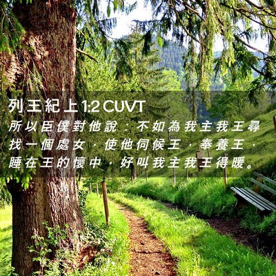 Picture 02 - 列 王 紀 上 1:2 CUVT - 所 以 臣 僕 對 他 說 ： 不 如 為 我 - Bible Verse Picture