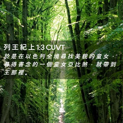 Picture 02 - 列 王 紀 上 1:3 CUVT - 於 是 在 以 色 列 全 境 尋 找 美 貌 - Bible Verse Picture