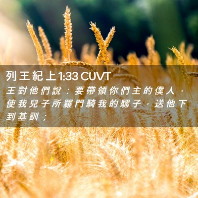 Picture 02 - 列 王 紀 上 1:33 CUVT - 王 對 他 們 說 ： 要 帶 領 你 們 主 - Bible Verse Picture