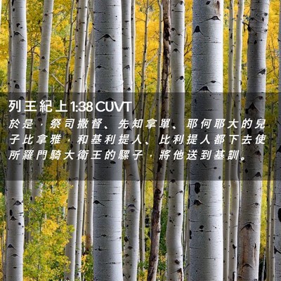 Picture 02 - 列 王 紀 上 1:38 CUVT - 於 是 ， 祭 司 撒 督 、 先 知 拿 單 - Bible Verse Picture