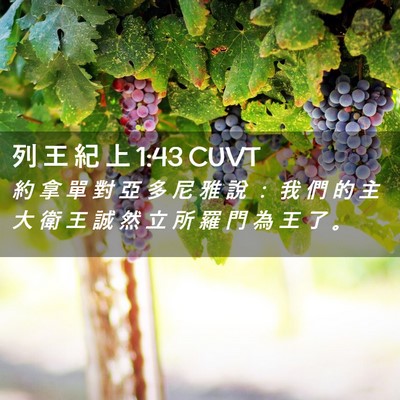 Picture 02 - 列 王 紀 上 1:43 CUVT - 約 拿 單 對 亞 多 尼 雅 說 ： 我 們 - Bible Verse Picture