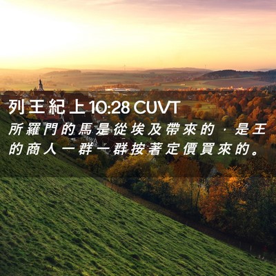 Picture 02 - 列 王 紀 上 10:28 CUVT - 所 羅 門 的 馬 是 從 埃 及 帶 來 的 - Bible Verse Picture
