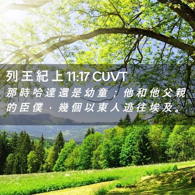 Picture 02 - 列 王 紀 上 11:17 CUVT - 那 時 哈 達 還 是 幼 童 ； 他 和 他 - Bible Verse Picture