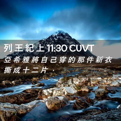 Picture 02 - 列 王 紀 上 11:30 CUVT - 亞 希 雅 將 自 己 穿 的 那 件 新 衣 - Bible Verse Picture
