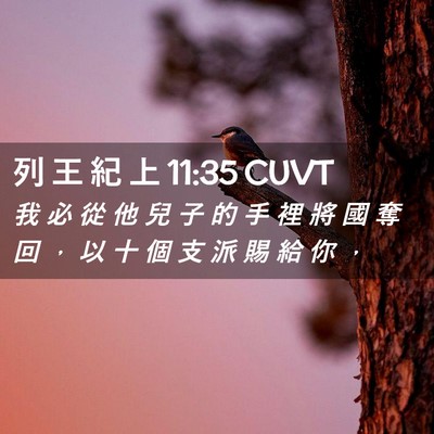 Picture 02 - 列 王 紀 上 11:35 CUVT - 我 必 從 他 兒 子 的 手 裡 將 國 奪 - Bible Verse Picture