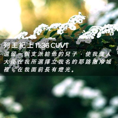 Picture 02 - 列 王 紀 上 11:36 CUVT - 還 留 一 個 支 派 給 他 的 兒 子 ， - Bible Verse Picture