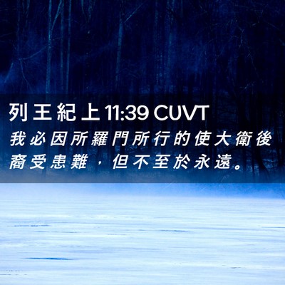 Picture 02 - 列 王 紀 上 11:39 CUVT - 我 必 因 所 羅 門 所 行 的 使 大 衛 - Bible Verse Picture