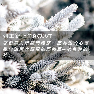 Picture 02 - 列 王 紀 上 11:9 CUVT - 耶 和 華 向 所 羅 門 發 怒 ， 因 為 - Bible Verse Picture