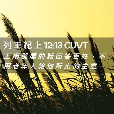 Picture 02 - 列 王 紀 上 12:13 CUVT - 王 用 嚴 厲 的 話 回 答 百 姓 ， 不 - Bible Verse Picture