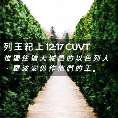 Picture 02 - 列 王 紀 上 12:17 CUVT - 惟 獨 住 猶 大 城 邑 的 以 色 列 人 - Bible Verse Picture