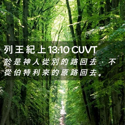 Picture 02 - 列 王 紀 上 13:10 CUVT - 於 是 神 人 從 別 的 路 回 去 ， 不 - Bible Verse Picture