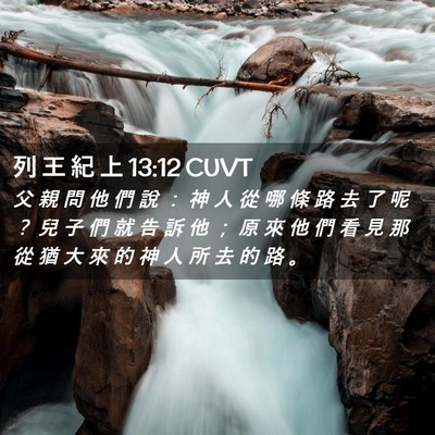 Picture 02 - 列 王 紀 上 13:12 CUVT - 父 親 問 他 們 說 ： 神 人 從 哪 條 - Bible Verse Picture