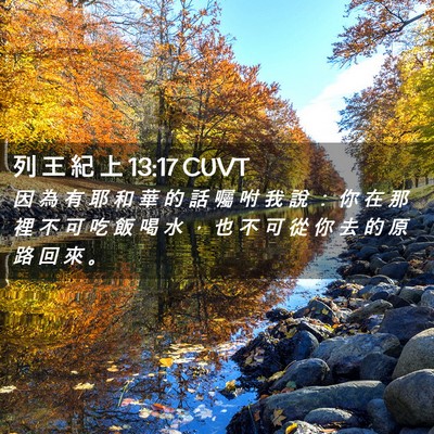 Picture 02 - 列 王 紀 上 13:17 CUVT - 因 為 有 耶 和 華 的 話 囑 咐 我 說 - Bible Verse Picture