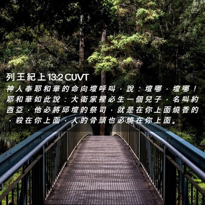 Picture 02 - 列 王 紀 上 13:2 CUVT - 神 人 奉 耶 和 華 的 命 向 壇 呼 叫 - Bible Verse Picture