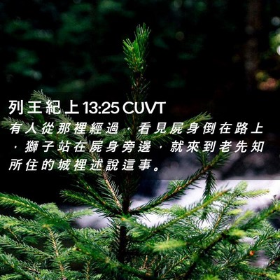 Picture 02 - 列 王 紀 上 13:25 CUVT - 有 人 從 那 裡 經 過 ， 看 見 屍 身 - Bible Verse Picture