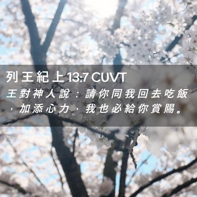 Picture 02 - 列 王 紀 上 13:7 CUVT - 王 對 神 人 說 ： 請 你 同 我 回 去 - Bible Verse Picture