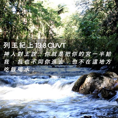 Picture 02 - 列 王 紀 上 13:8 CUVT - 神 人 對 王 說 ： 你 就 是 把 你 的 - Bible Verse Picture