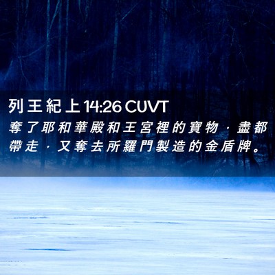 Picture 02 - 列 王 紀 上 14:26 CUVT - 奪 了 耶 和 華 殿 和 王 宮 裡 的 寶 - Bible Verse Picture