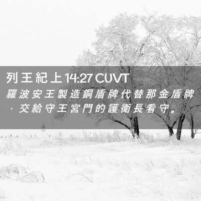 Picture 02 - 列 王 紀 上 14:27 CUVT - 羅 波 安 王 製 造 銅 盾 牌 代 替 那 - Bible Verse Picture
