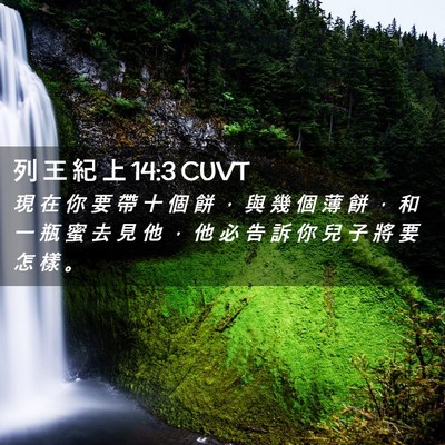 Picture 02 - 列 王 紀 上 14:3 CUVT - 現 在 你 要 帶 十 個 餅 ， 與 幾 個 - Bible Verse Picture