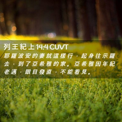 Picture 02 - 列 王 紀 上 14:4 CUVT - 耶 羅 波 安 的 妻 就 這 樣 行 ， 起 - Bible Verse Picture