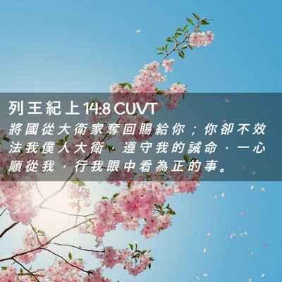 Picture 02 - 列 王 紀 上 14:8 CUVT - 將 國 從 大 衛 家 奪 回 賜 給 你 ； - Bible Verse Picture