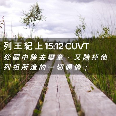 Picture 02 - 列 王 紀 上 15:12 CUVT - 從 國 中 除 去 孌 童 ， 又 除 掉 他 - Bible Verse Picture